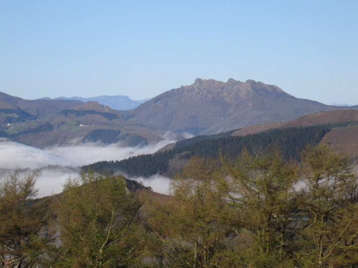 20100405_093110.JPG