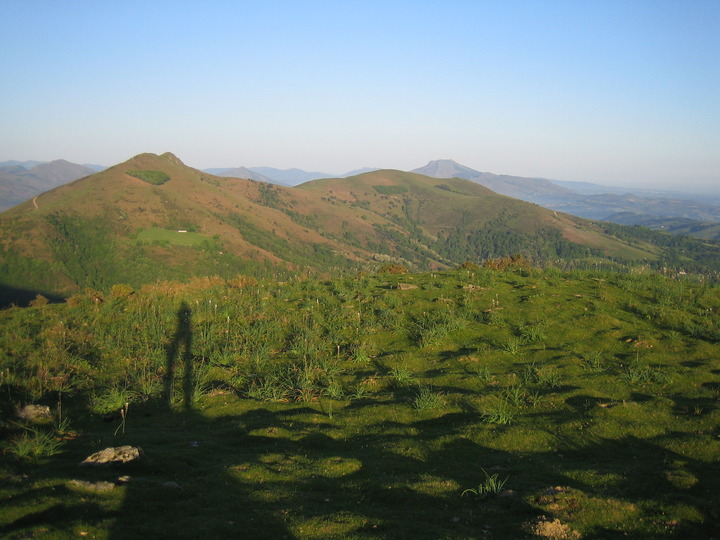 20100522_073824.JPG