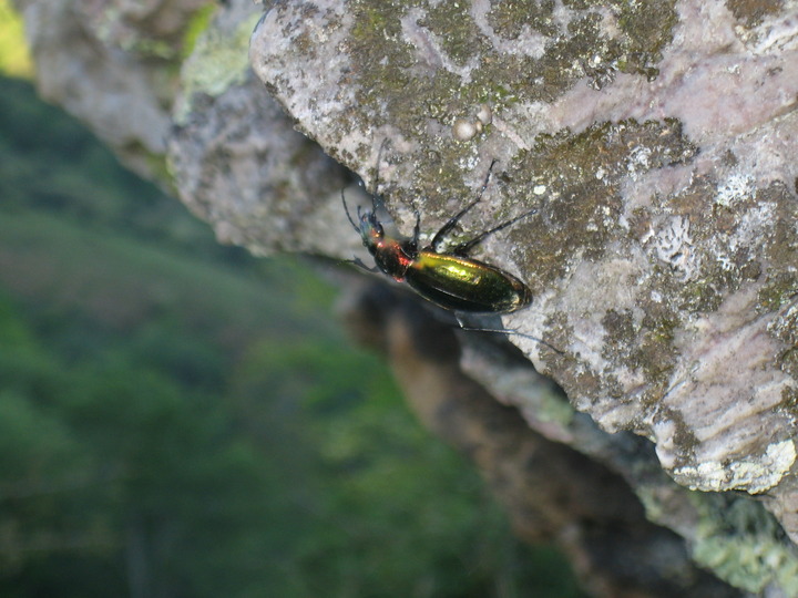 20100522_080610.JPG
