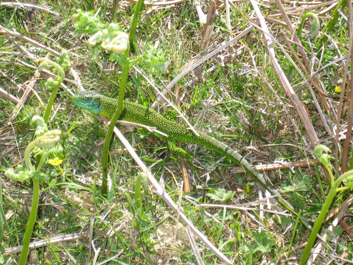 20100522_112643.JPG