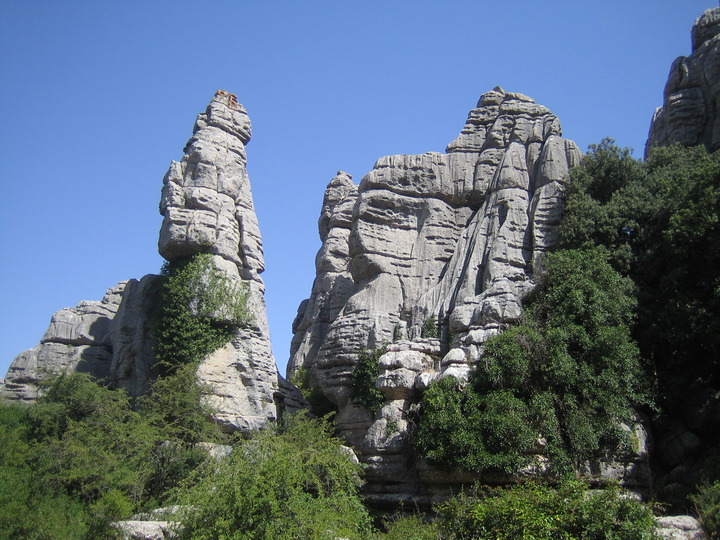 20100729_120728.JPG