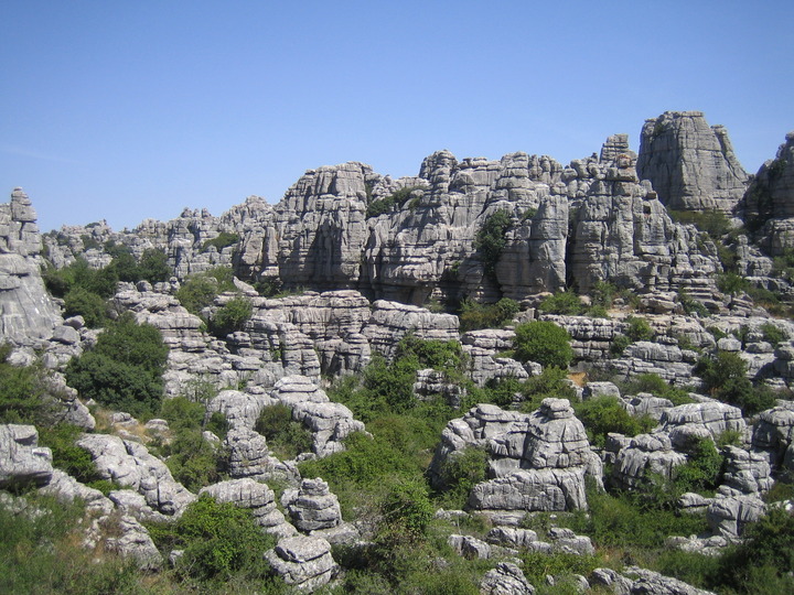 20100729_121555.JPG