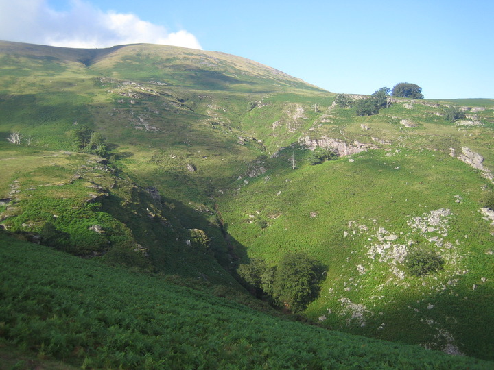 20100808_093439.JPG