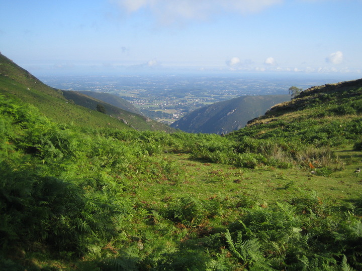 20100808_094522.JPG