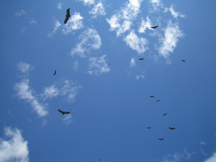20100815_150621.JPG