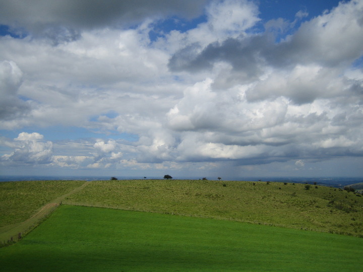 20100815_152348.JPG
