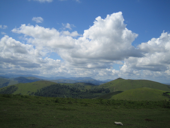 20100815_152820.JPG