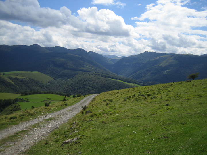 20100815_153913.JPG